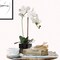 Lifelike Phalaenopsis Orchid Arrangement in 5" Black Cubed Pot - Elegant Floral Decor for Home, Office, Weddings, and Events by Floral Home by Artificial Flowers
